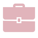briefcase pink